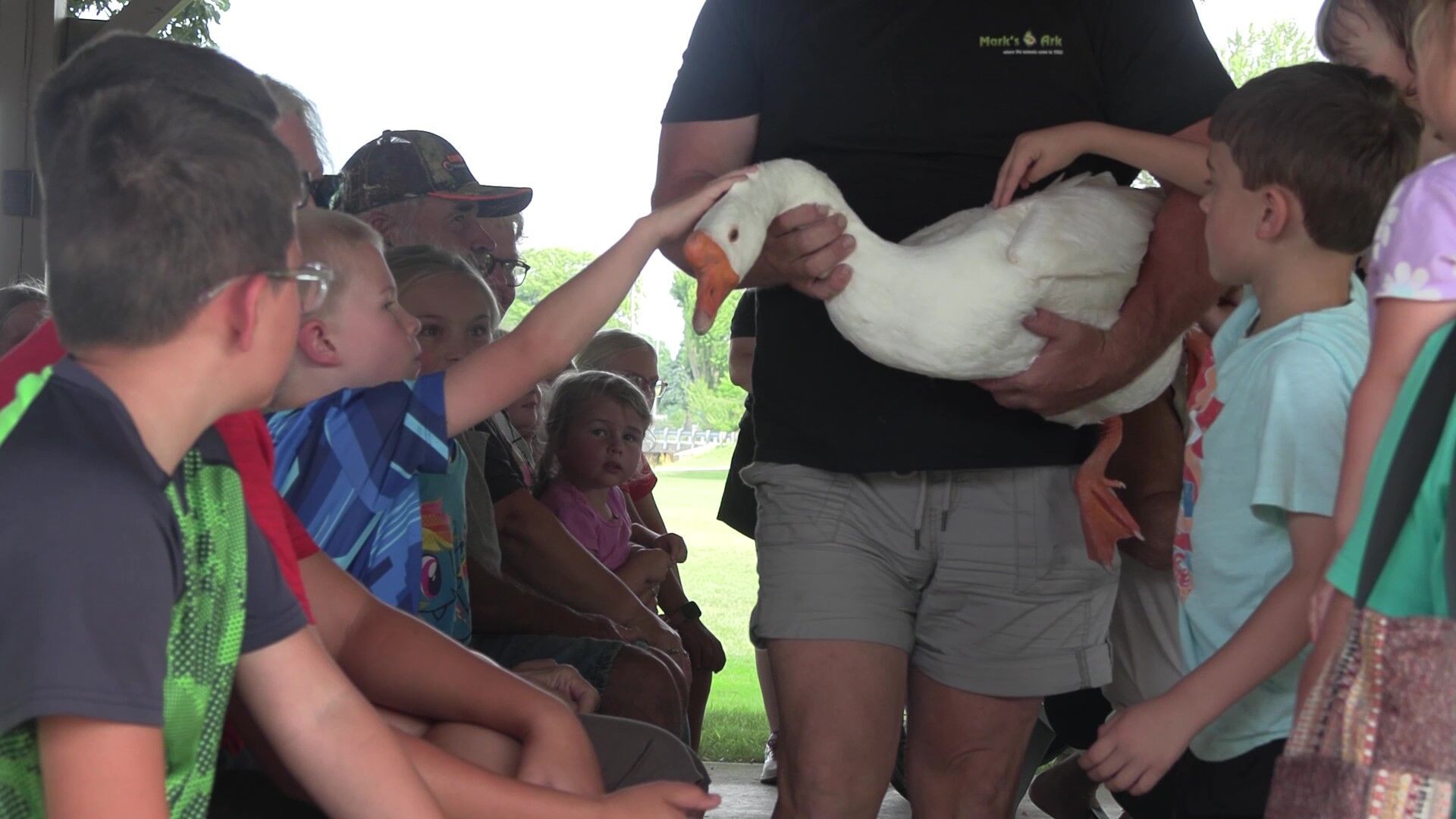 Things get wild at Ottoville Library with exotic animals